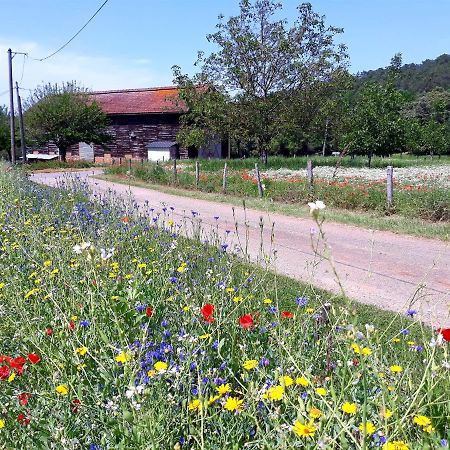 Gite Du Bouyssou Carsac-Aillac Buitenkant foto