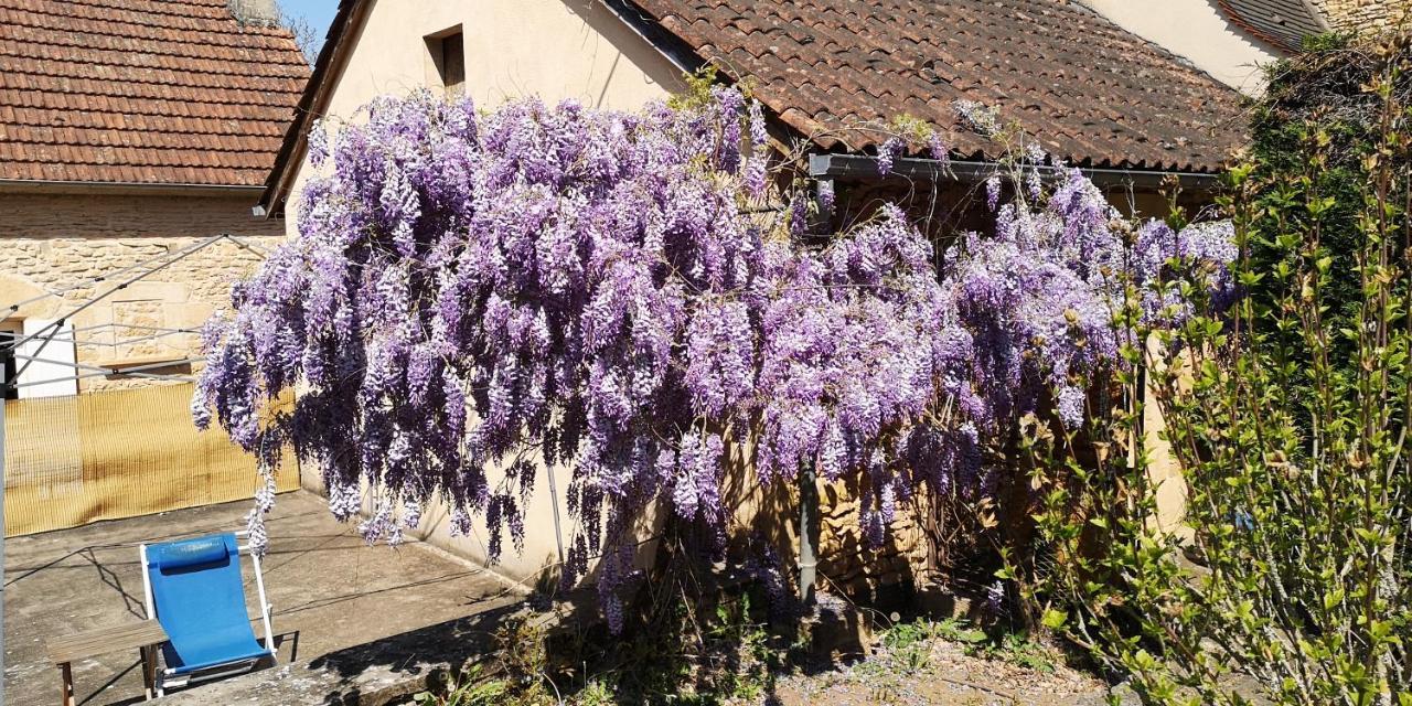 Gite Du Bouyssou Carsac-Aillac Buitenkant foto